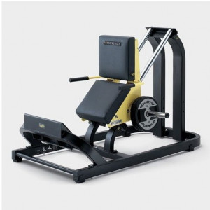 Calf Technogym occasion - Charge max (kg) : 280