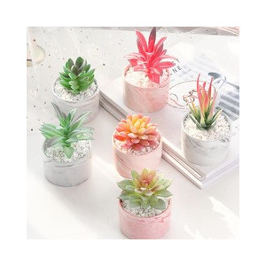 catctus en pot marbre - cactus pot en marbe 