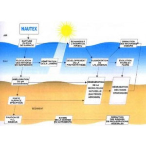 Produit de nettoyage d'eau - Amélioration de la transparence de l'eau