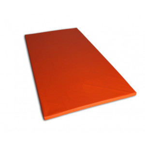 Tapis de gymnastique scolaire pour enfants - Dimensions (Lxlxh) : 2m x 1m x 4cm