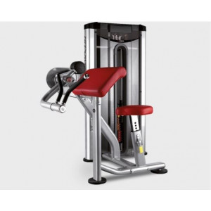 Tirage biceps - Dimensions (L x l x H) cm : 137 x 117 x 148.5