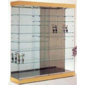 Vitrine commerce en verre - Dimensions 188 x 46 x 208H cm