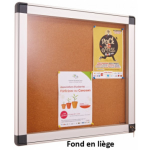 Vitrine d'intérieur fond en liège ou métal - De 4 à 15 x A4 - Profil aluminium anodisé