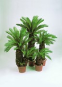 Arbre cycas artificiel 