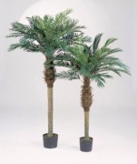 Arbre phoenix palm artificiel