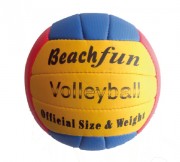 Ballon de volley ball