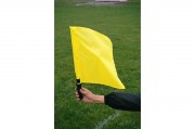 Drapeaux d'arbitres