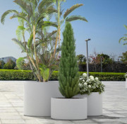 Jardinière béton cylindrique 