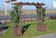 Pergola