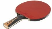 Raquette de ping pong en bois 