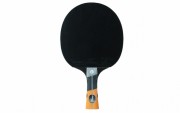 Raquette de ping pong familliale