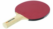 Raquette de ping pong loisirs 