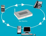 Réseau téléphonique d'entreprise