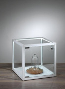 Vitrine cloche 