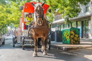 Abri conteneur en métal urbain - Devis sur Techni-Contact.com - 4