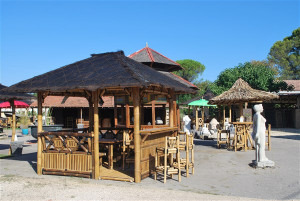 Abri de jardin en bambou avec bar - Devis sur Techni-Contact.com - 4