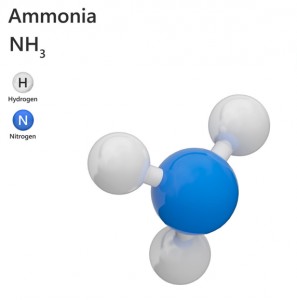 Ammoniaque (ou ammoniac) Alcali 22¡ -Hydroxyde d'ammonium - CAS N¡ 1336-21-6