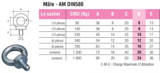 Anneau de levage zingué - Devis sur Techni-Contact.com - 3