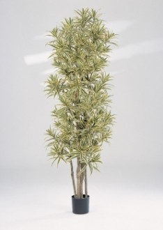 Arbre dracaena artificiel - Devis sur Techni-Contact.com - 1