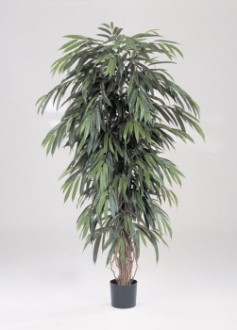 Arbre longifolia artificiel 180 cm - Devis sur Techni-Contact.com - 1