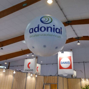 Ballon publicitaire géant sans hélium - Devis sur Techni-Contact.com - 1