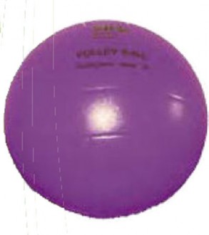 Ballons de volley pour école - Devis sur Techni-Contact.com - 1