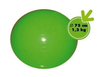 Ballons pour exercices de motricité - Devis sur Techni-Contact.com - 2