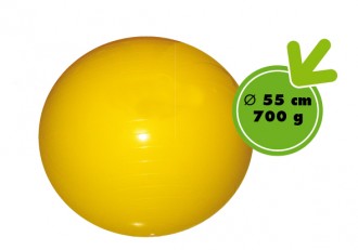 Ballons pour exercices de motricité - Devis sur Techni-Contact.com - 3