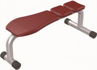 Banc de musculation fixe - Devis sur Techni-Contact.com - 1