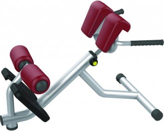 Banc de musculation lombaire incliné - Devis sur Techni-Contact.com - 1