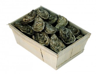 Barquette d'emballage en bois pour huître et coquillages - Devis sur Techni-Contact.com - 1
