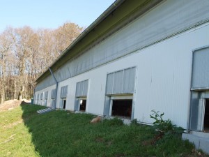 Bâtiments d'élevage pour exploitations agricoles - Devis sur Techni-Contact.com - 4