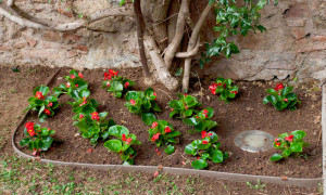 Bordures pour jardin 