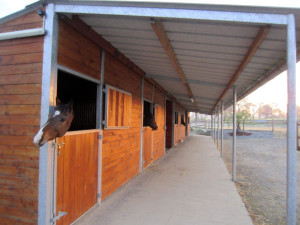 Box professionnel pour chevaux - Devis sur Techni-Contact.com - 3