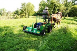 Broyeur d’herbe autonome - Devis sur Techni-Contact.com - 5