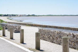 Cage à gabion vide - Devis sur Techni-Contact.com - 1