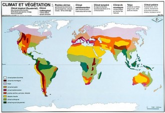 Carte du monde 70 x 102 - Devis sur Techni-Contact.com - 1