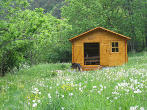 Chalet mezzanine en kit  - Devis sur Techni-Contact.com - 3