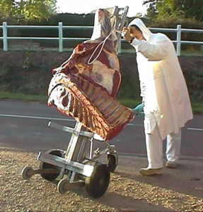 Chariot à viande - Devis sur Techni-Contact.com - 3