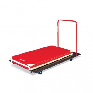 Chariot de transport pour tapis - Devis sur Techni-Contact.com - 2