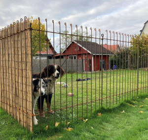 Clôture pour chiens et jardin - Devis sur Techni-Contact.com - 3