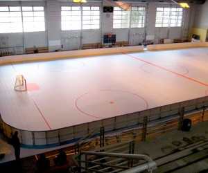 Dalles Clipsable pour Roller Hockey - Devis sur Techni-Contact.com - 10