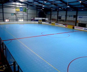 Dalles Clipsable pour Roller Hockey - Devis sur Techni-Contact.com - 7