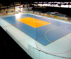 Dalles Clipsable pour Roller Hockey - Devis sur Techni-Contact.com - 8