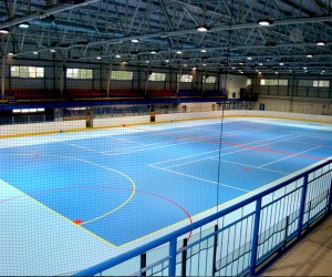 Dalles Clipsable pour Roller Hockey - Devis sur Techni-Contact.com - 9