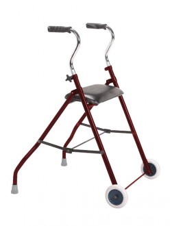 Déambulateur léger 227 Kg - Devis sur Techni-Contact.com - 1