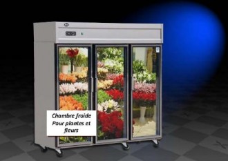 Distributeur automatique de fleurs