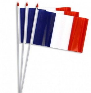 Drapeaux en plastiques - Devis sur Techni-Contact.com - 2