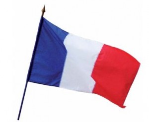 Drapeaux pays du monde - Devis sur Techni-Contact.com - 1