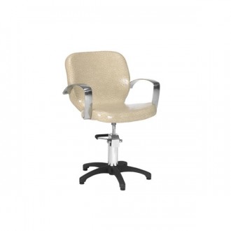 Fauteuil coiffure accoudoirs alu - Devis sur Techni-Contact.com - 1